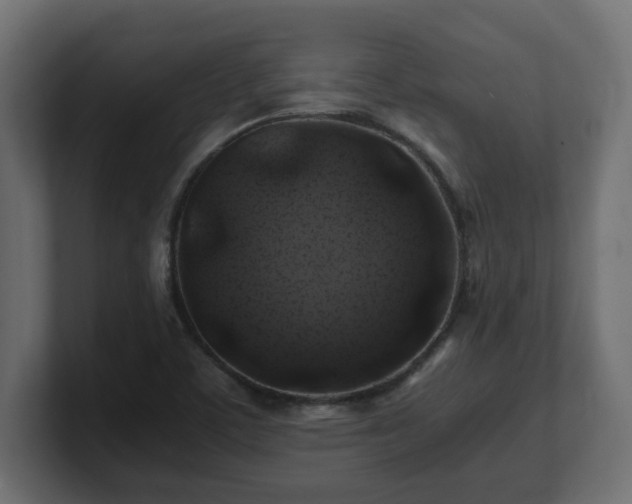 X0000100761459200806261554