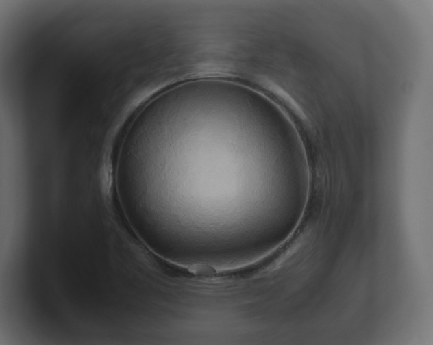 X0000100761461200806261554