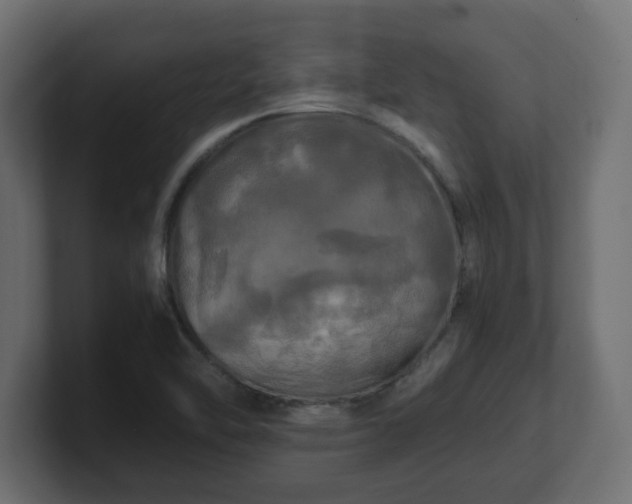 X0000100761462200806261554