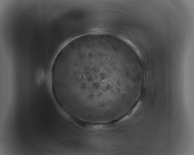 X0000100761467200806261554