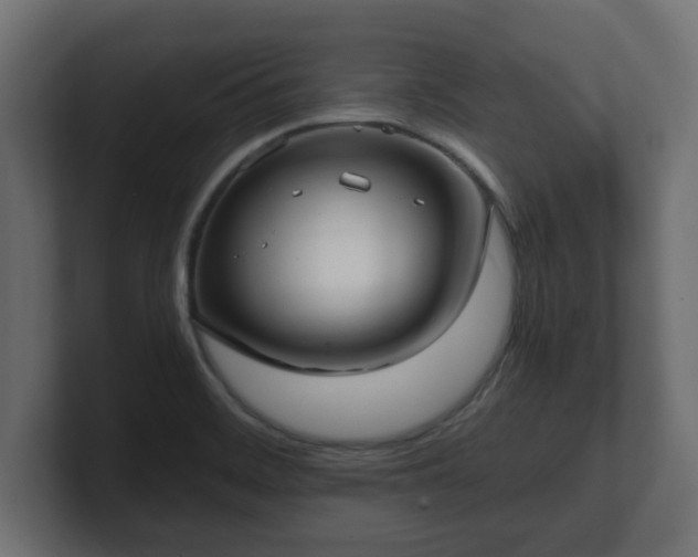 X0000100761468200806261554