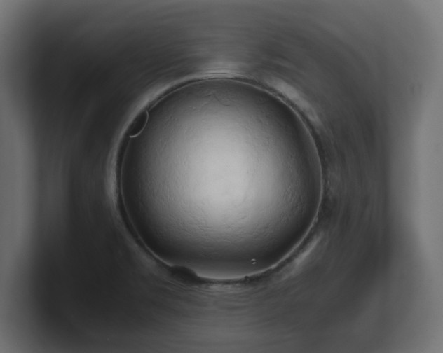 X0000100761469200806261554