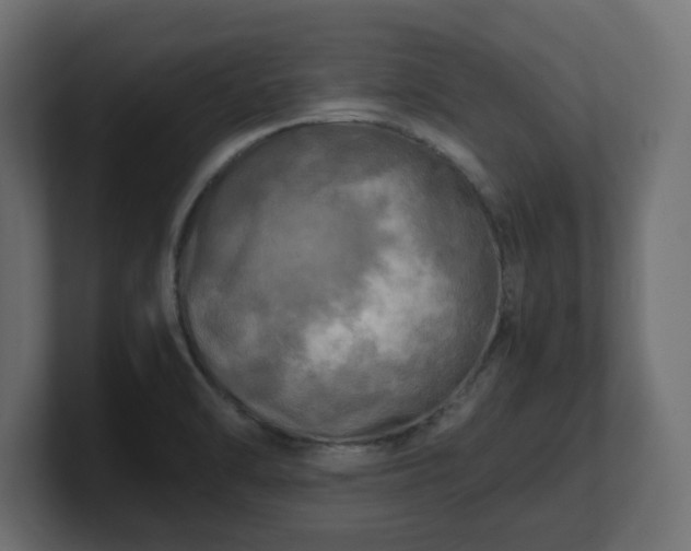 X0000100761470200806261554