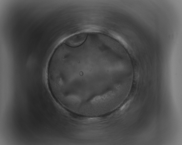 X0000100761471200806261554