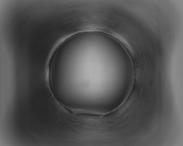 X0000100761472200806261554