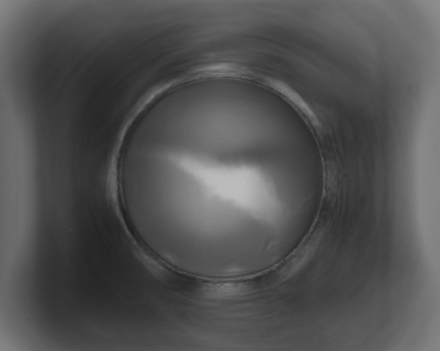 X0000100761474200806261554