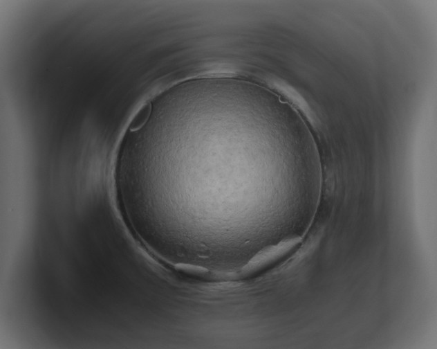 X0000100761475200806261554