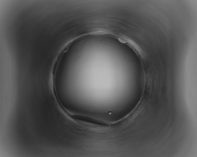 X0000100761476200806261554