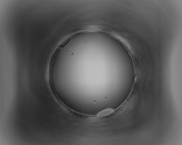 X0000100761477200806261554