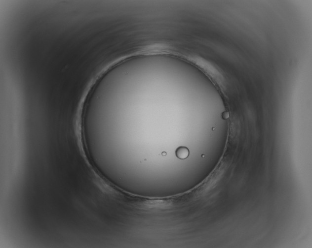 X0000100761478200806261554