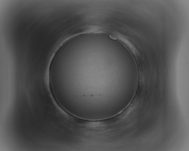 X0000100761479200806261554