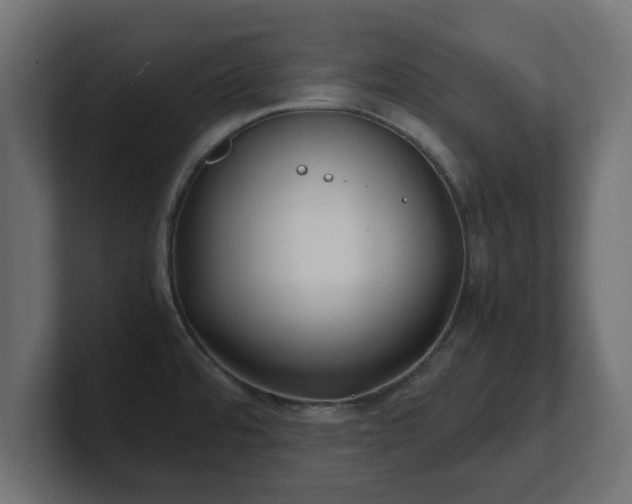 X0000100761480200806261554