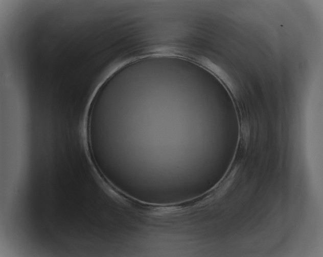 X0000100761482200806261554