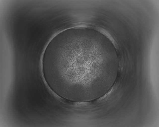 X0000100761483200806261554