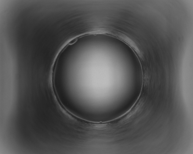 X0000100761484200806261554