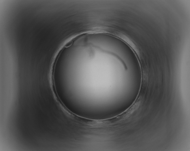 X0000100761485200806261554