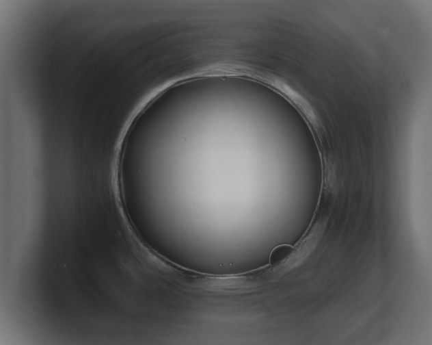 X0000100761486200806261554