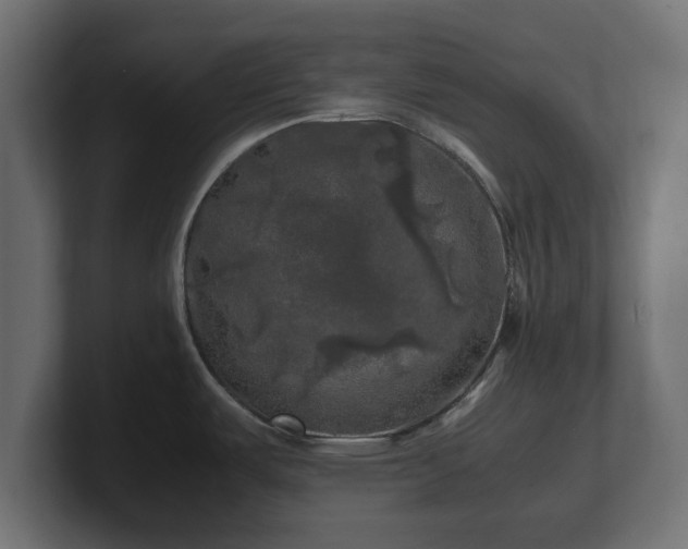 X0000100761487200806261554