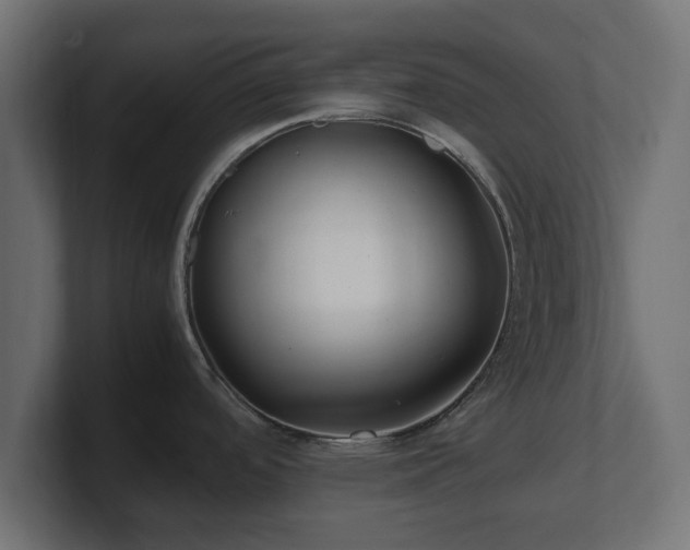 X0000100761488200806261554