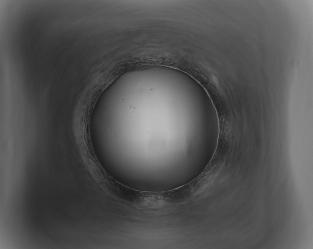 X0000100761489200806261553