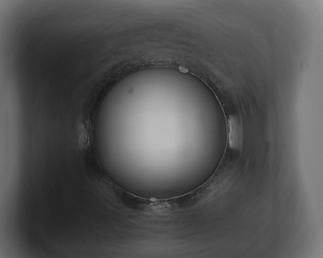 X0000100761491200806261553