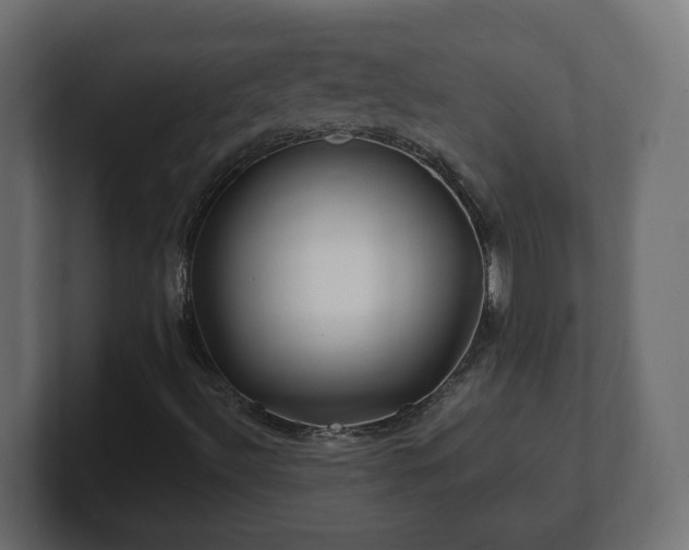 X0000100761492200806261553