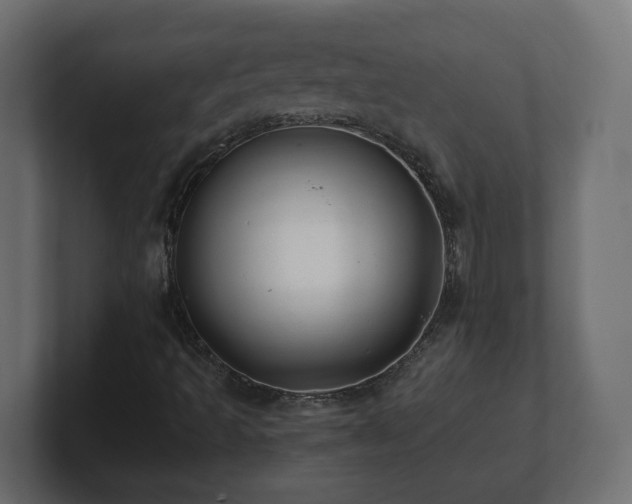 X0000100761493200806261553