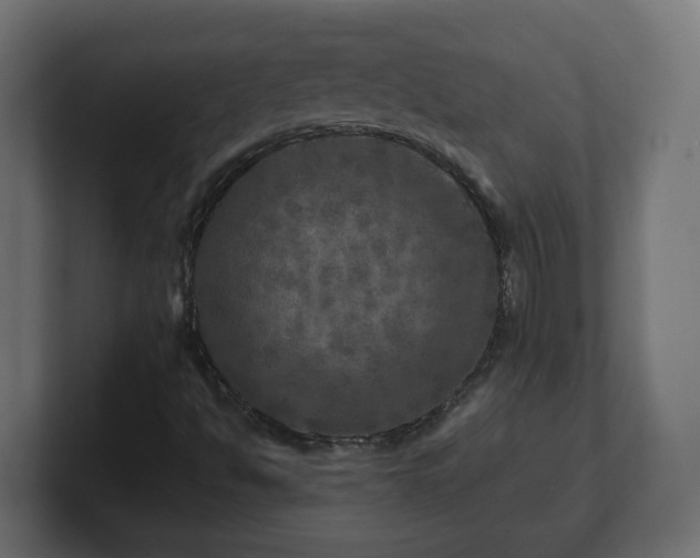 X0000100761494200806261553