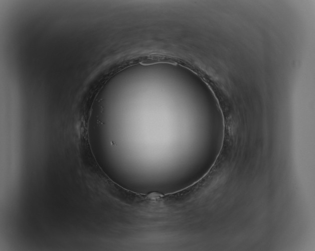 X0000100761495200806261553