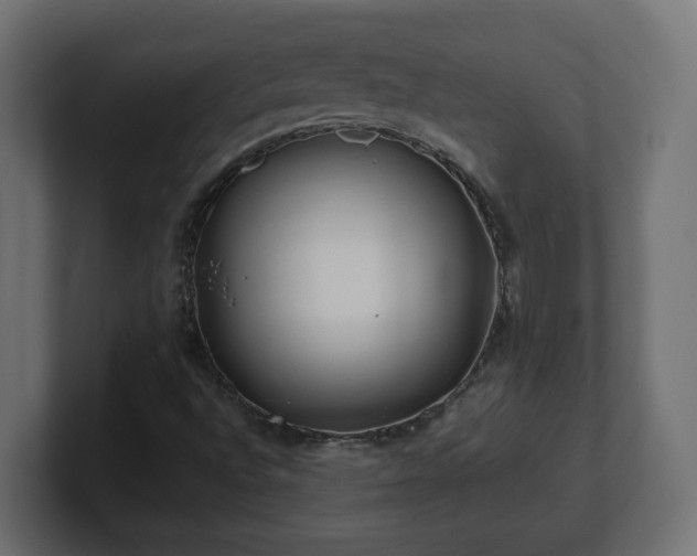 X0000100761496200806261553