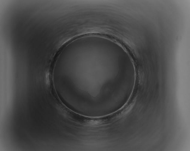 X0000100761497200806261553