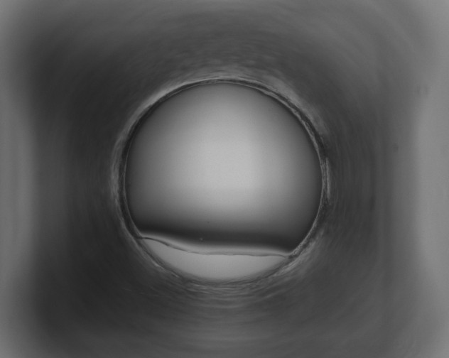 X0000100761500200806261553