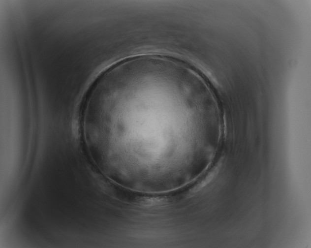 X0000100761501200806261554