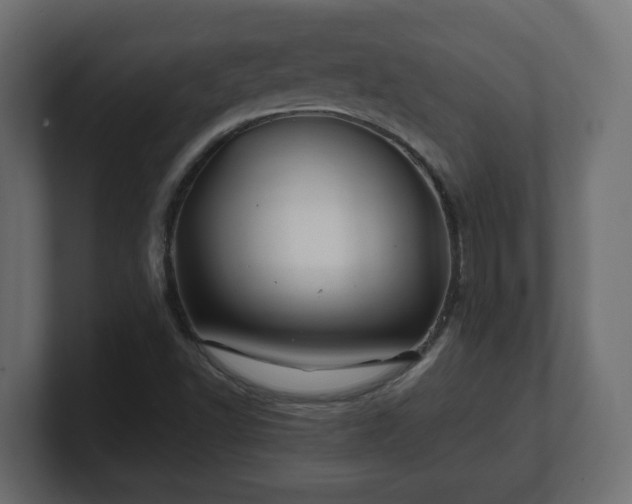 X0000100761502200806261554