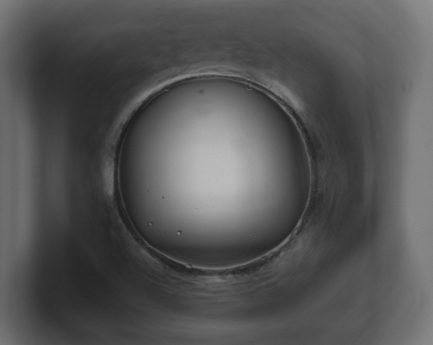 X0000100761504200806261554