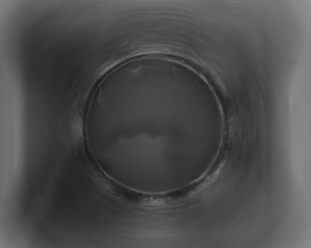 X0000100761505200806261554