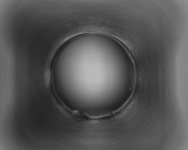 X0000100761507200806261554