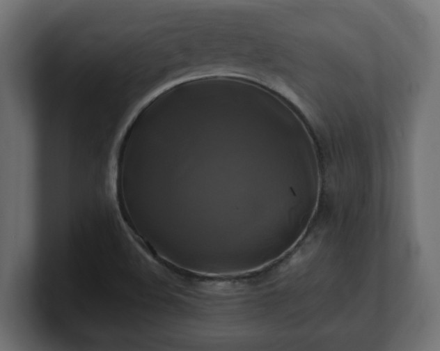 X0000100761508200806261554