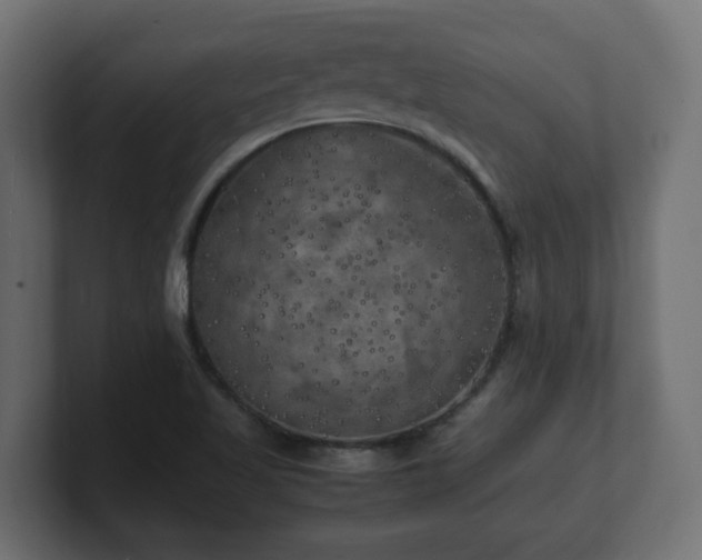 X0000100761509200806261554