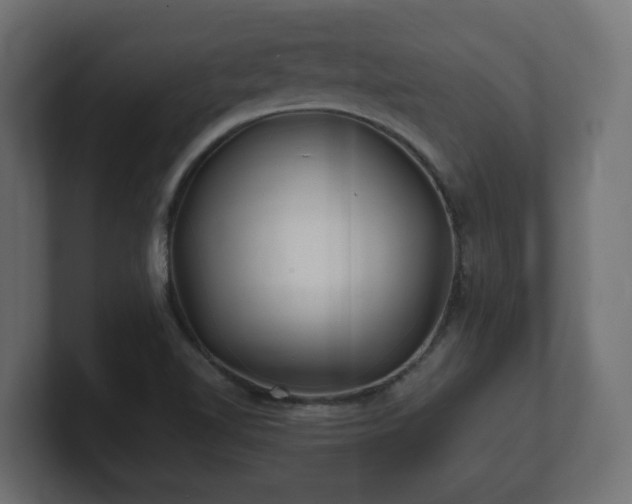 X0000100761510200806261554