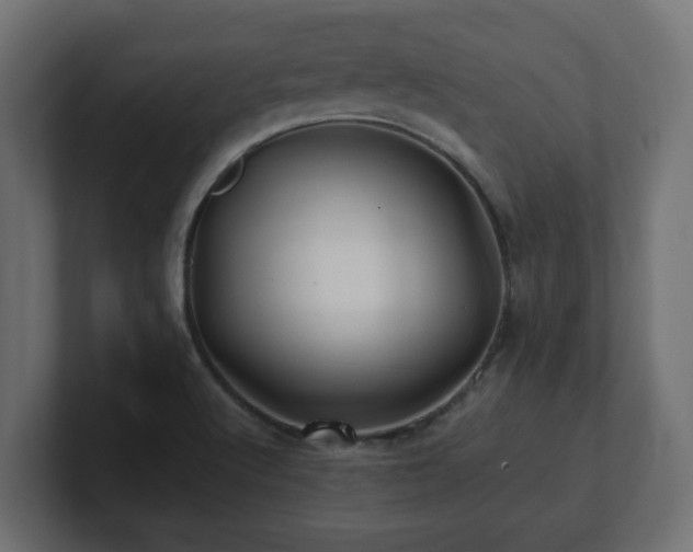 X0000100761512200806261554