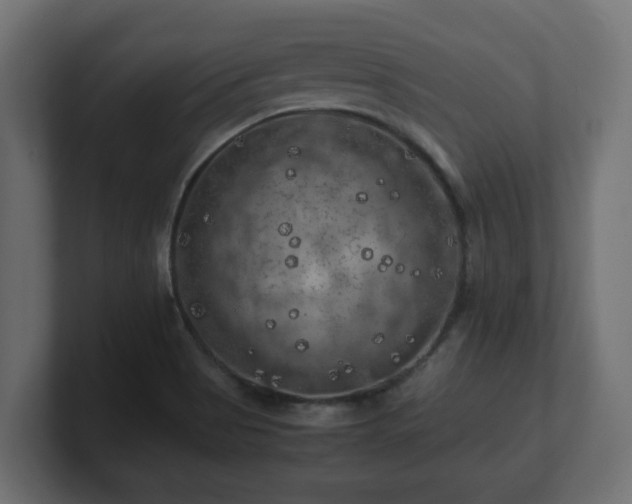 X0000100761513200806261554