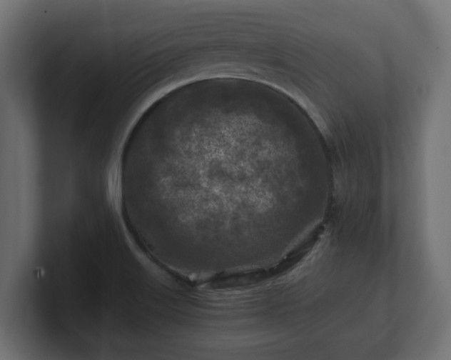 X0000100761515200806261554