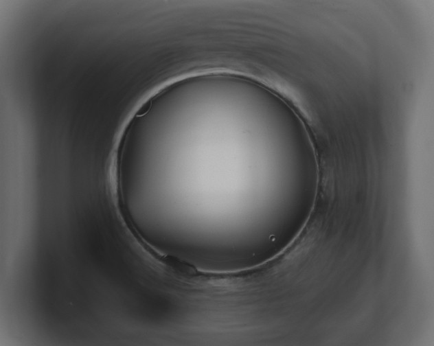 X0000100761516200806261554