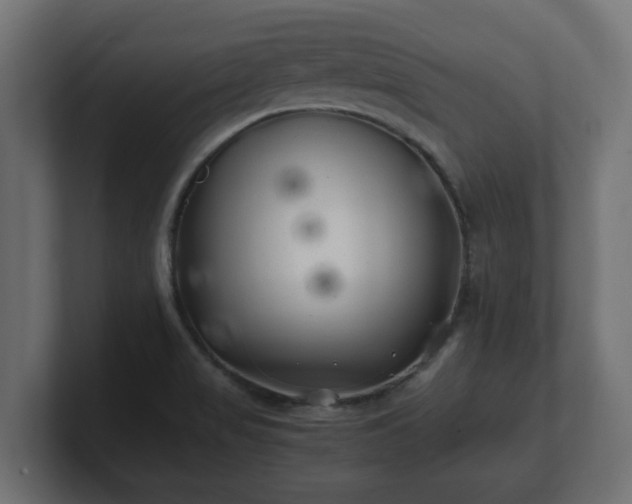 X0000100761517200806261554