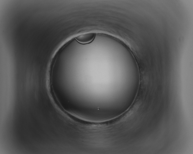 X0000100761518200806261554