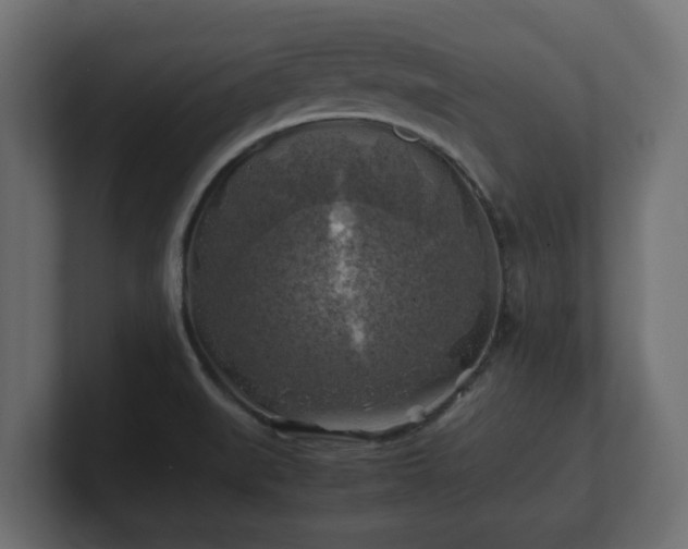 X0000100761519200806261554