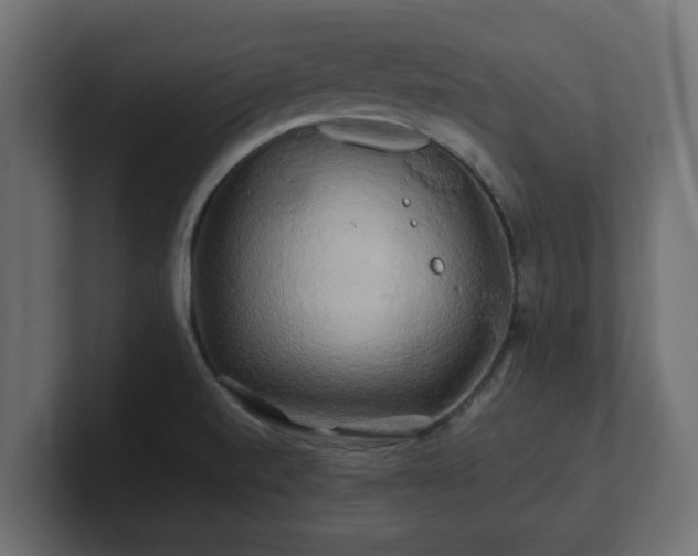 X0000100761520200806261554