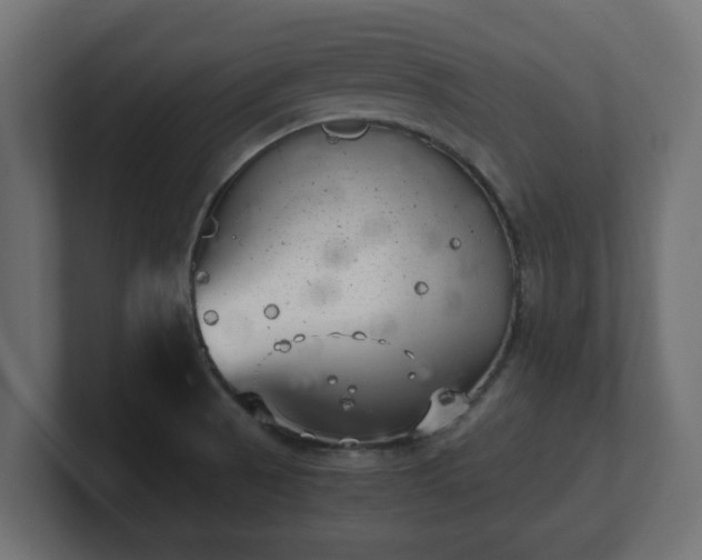 X0000100761521200806261554