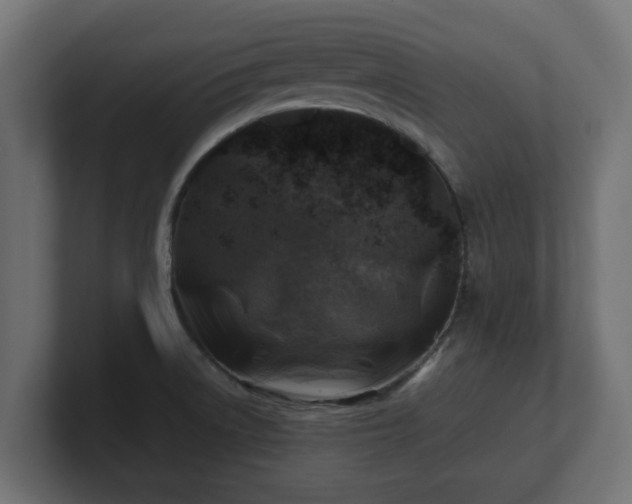 X0000100761522200806261554